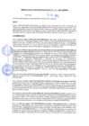Vista preliminar de documento rgm21170