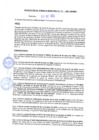 Vista preliminar de documento rgm21168
