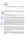 Vista preliminar de documento rgm21175