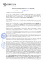 Vista preliminar de documento rgm21167