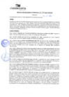 Vista preliminar de documento rgm21177