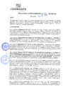 Vista preliminar de documento rgm21176