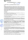 Vista preliminar de documento rgm21183