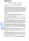 Vista preliminar de documento rgm21193