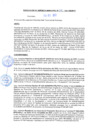 Vista preliminar de documento rgm21196