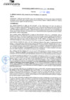 Vista preliminar de documento rgm21210