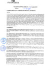 Vista preliminar de documento rgm21217