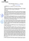 Vista preliminar de documento rgm21218