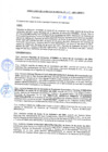 Vista preliminar de documento rgm21219