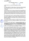 Vista preliminar de documento rgm21225