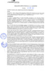 Vista preliminar de documento rgm21229