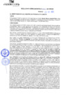 Vista preliminar de documento rgm21230