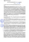 Vista preliminar de documento rgm21235