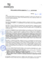Vista preliminar de documento rgm21241