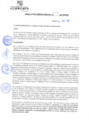 Vista preliminar de documento rgm21244