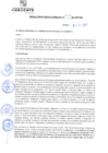 Vista preliminar de documento rgm21245