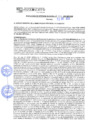 Vista preliminar de documento rgm21174