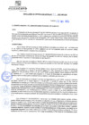 Vista preliminar de documento rgm21249