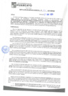 Vista preliminar de documento rgm21251