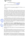 Vista preliminar de documento rgm21256