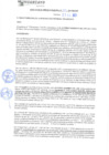 Vista preliminar de documento rgm21259