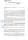 Vista preliminar de documento rgm21257