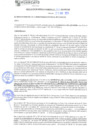 Vista preliminar de documento rgm21261