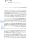 Vista preliminar de documento rgm21260