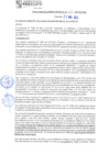 Vista preliminar de documento rgm21265
