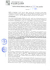 Vista preliminar de documento rgm21268