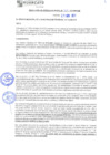 Vista preliminar de documento rgm21267