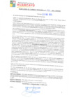 Vista preliminar de documento rgm21269