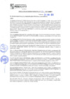 Vista preliminar de documento rgm21272