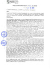 Vista preliminar de documento rgm21277