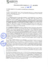 Vista preliminar de documento rgm21278