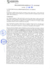Vista preliminar de documento rgm21280