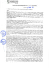 Vista preliminar de documento rgm21279