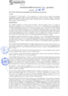 Vista preliminar de documento rgm21281