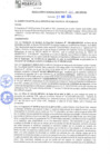 Vista preliminar de documento rgm21283
