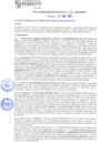 Vista preliminar de documento rgm21285