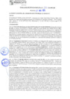 Vista preliminar de documento rgm21287