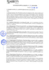 Vista preliminar de documento rgm21292