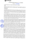 Vista preliminar de documento rgm21291