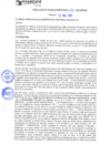 Vista preliminar de documento rgm21298