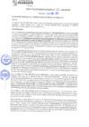 Vista preliminar de documento rgm21293