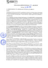 Vista preliminar de documento rgm21297