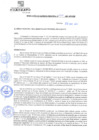 Vista preliminar de documento rgm21300