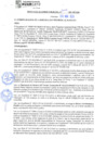 Vista preliminar de documento rgm21304