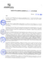 Vista preliminar de documento rgm21306
