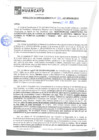 Vista preliminar de documento rgm21309
